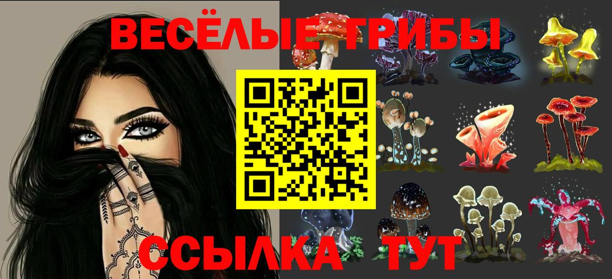 Владикавказ  Галлюциногенные грибы MAGIC MUSHROOMS  Вход с VPN 